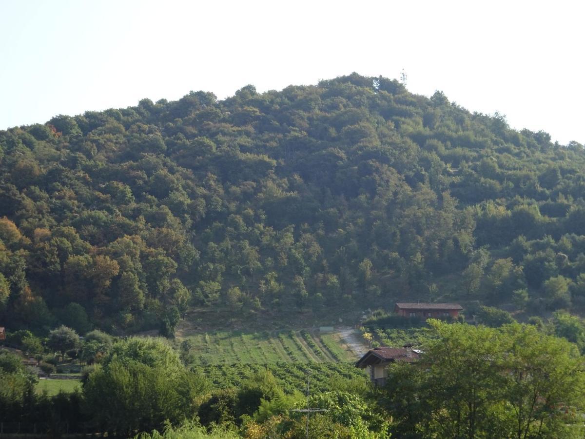 Albano Sant'alessandro Casaro 아파트 외부 사진