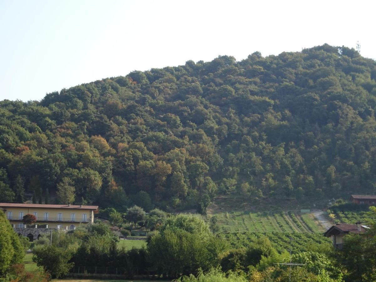 Albano Sant'alessandro Casaro 아파트 외부 사진